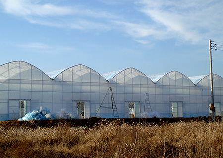 Connected greenhouse