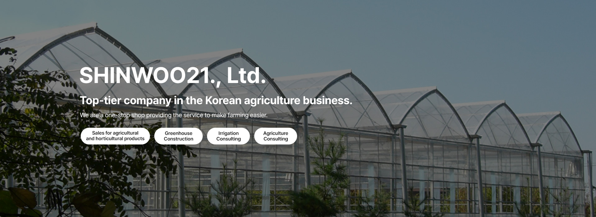 영문 메인 배너 1