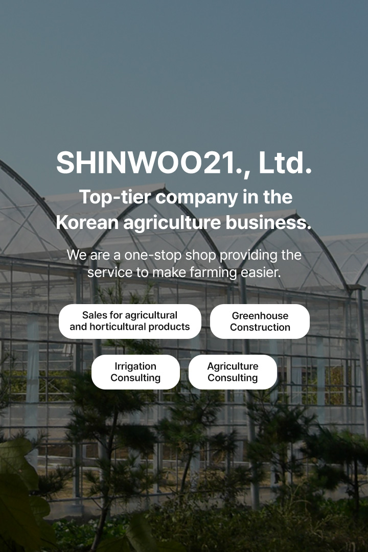 영문 메인 배너 1